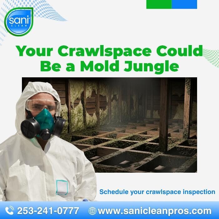 Images SaniClean Pros