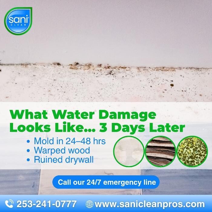 Images SaniClean Pros