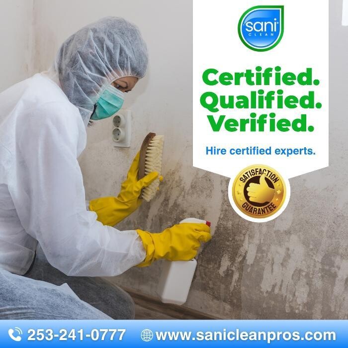 Images SaniClean Pros