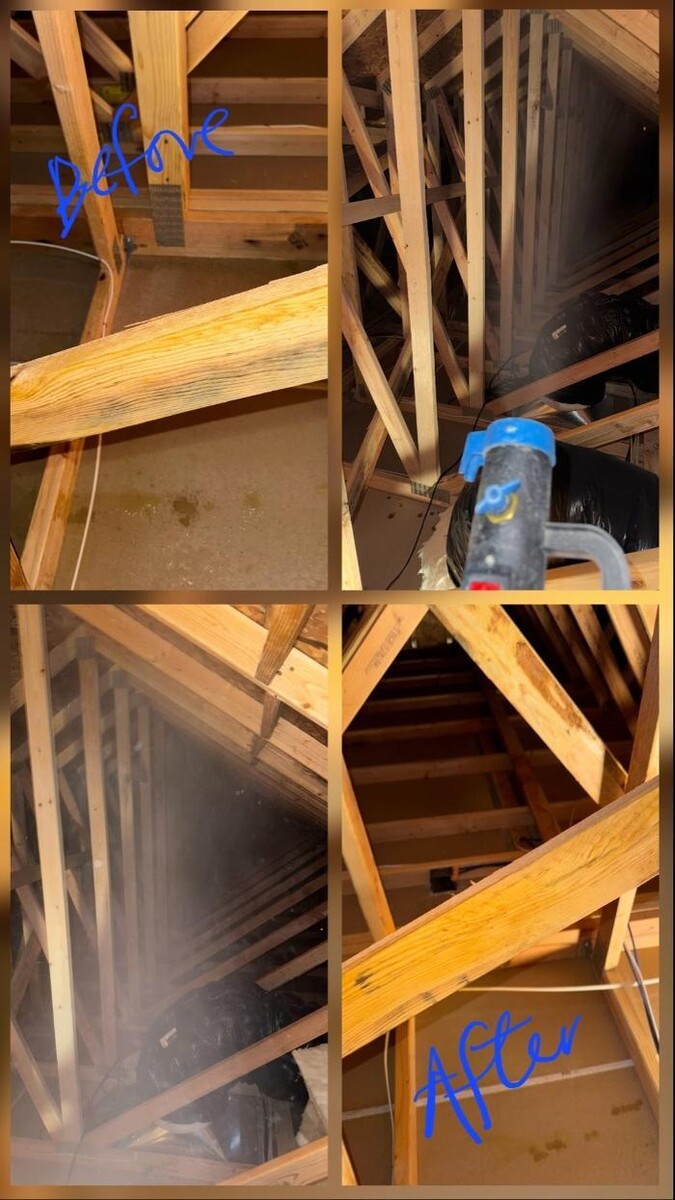 Images SaniClean Pros