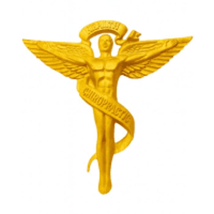 Davidson Chiropractic Nutrition Counseling Services, LLC Logo