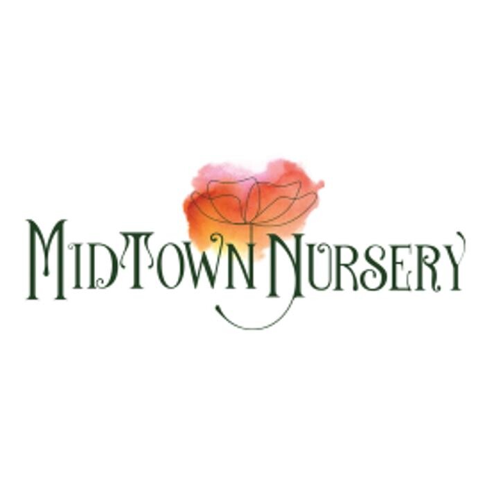 Midtown Nursery Logo