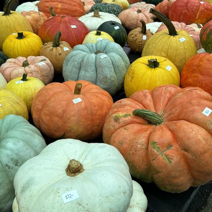 Images Midtown Nursery