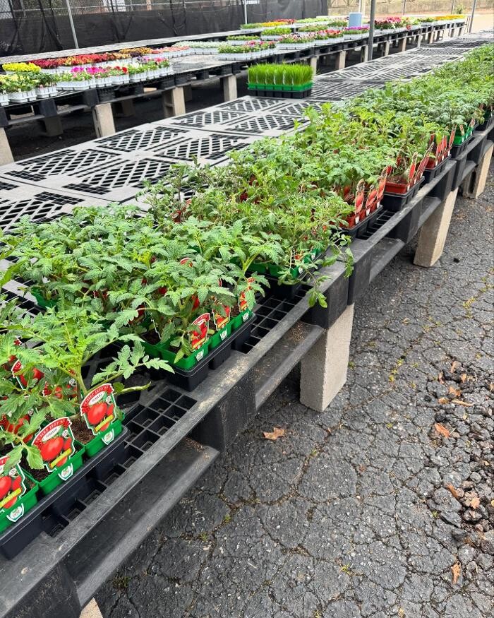 Images Midtown Nursery