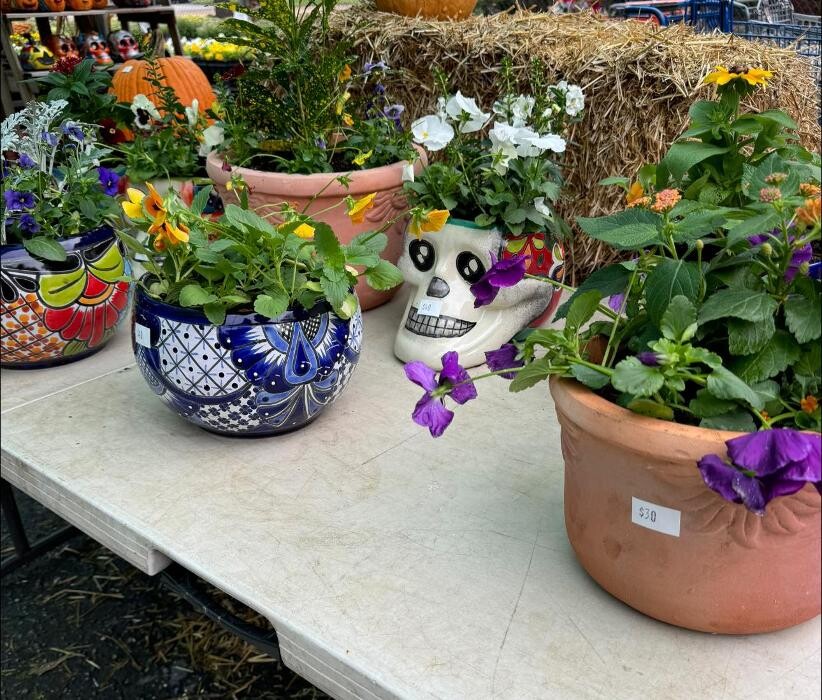Images Midtown Nursery