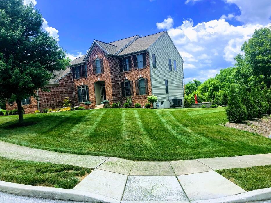 Images Shepherds View Landscaping & Tree Removal, LLC