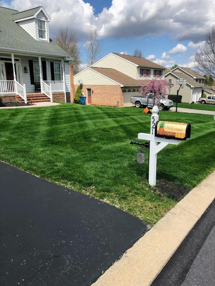 Images Shepherds View Landscaping & Tree Removal, LLC