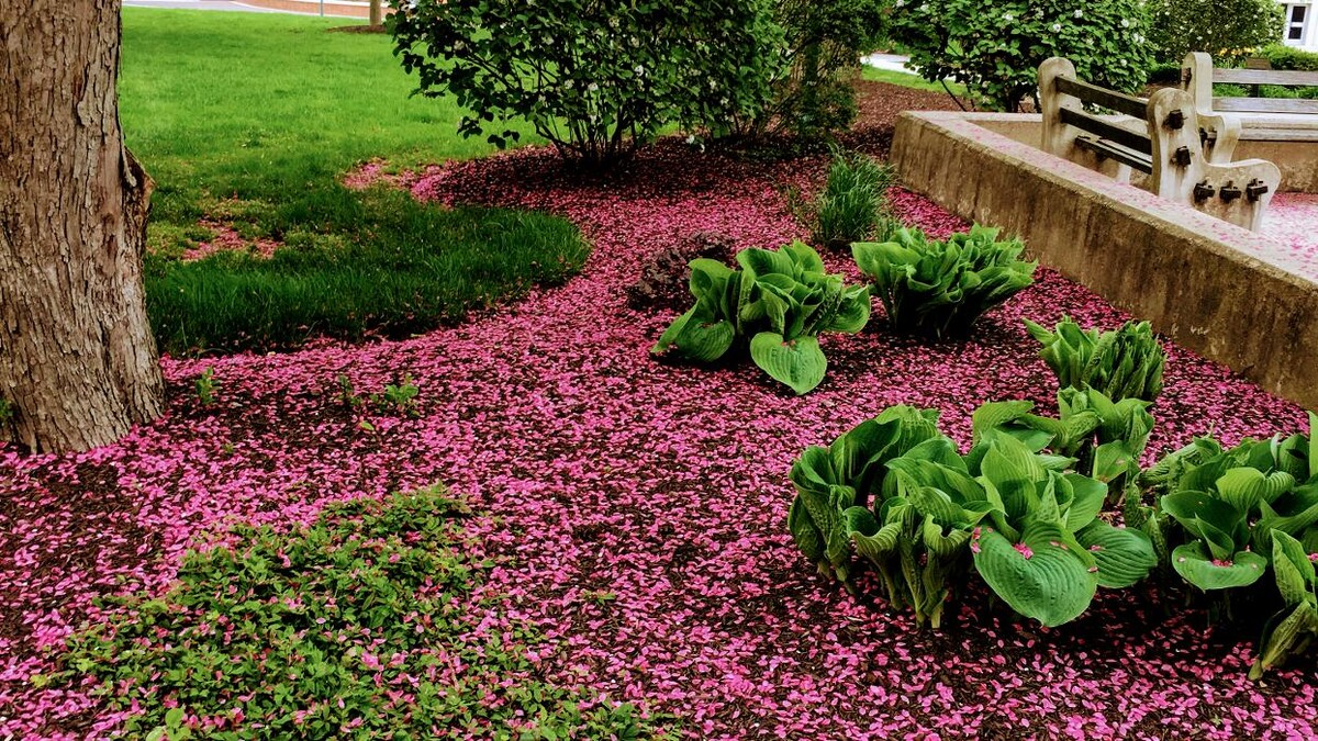 Images Shepherds View Landscaping & Tree Removal, LLC