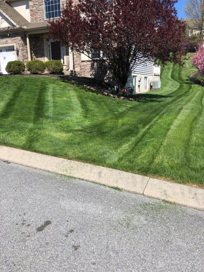 Images Shepherds View Landscaping & Tree Removal, LLC