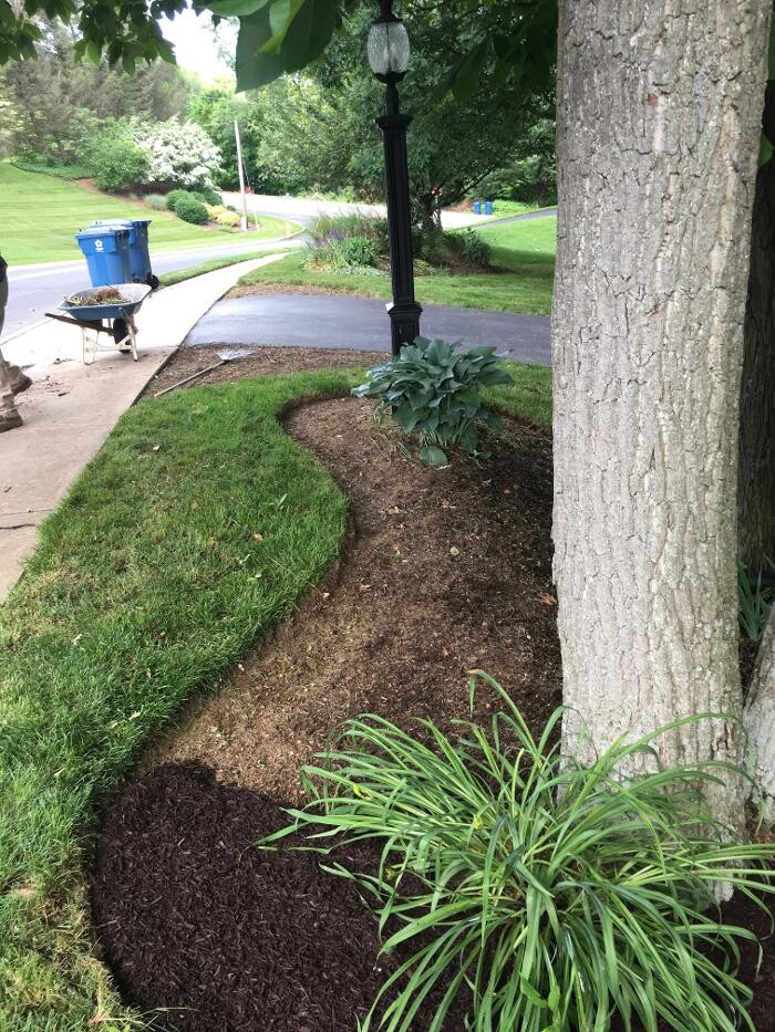 Images Shepherds View Landscaping & Tree Removal, LLC