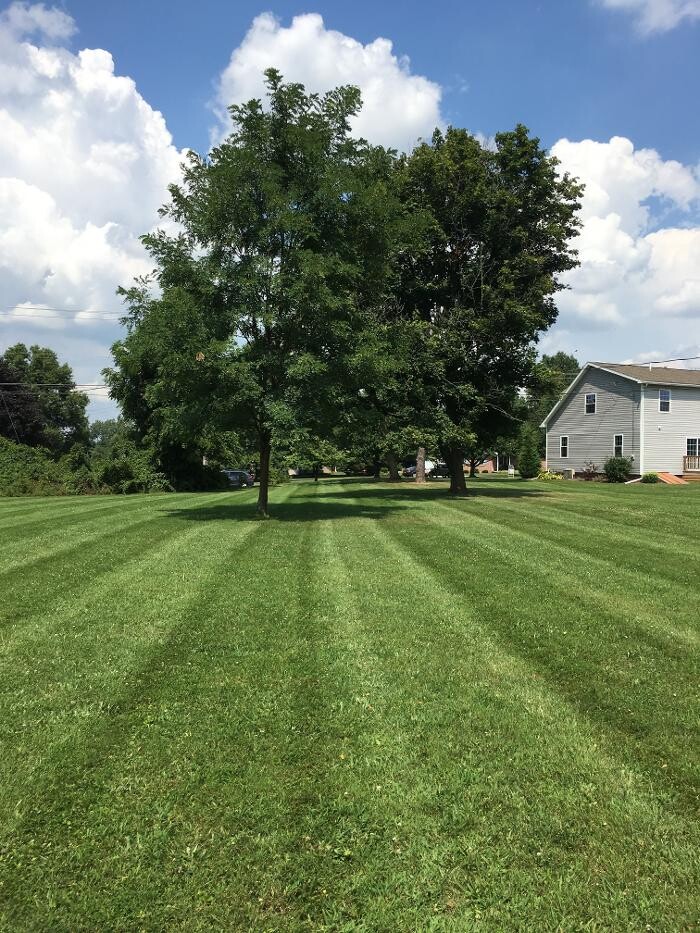 Images Shepherds View Landscaping & Tree Removal, LLC