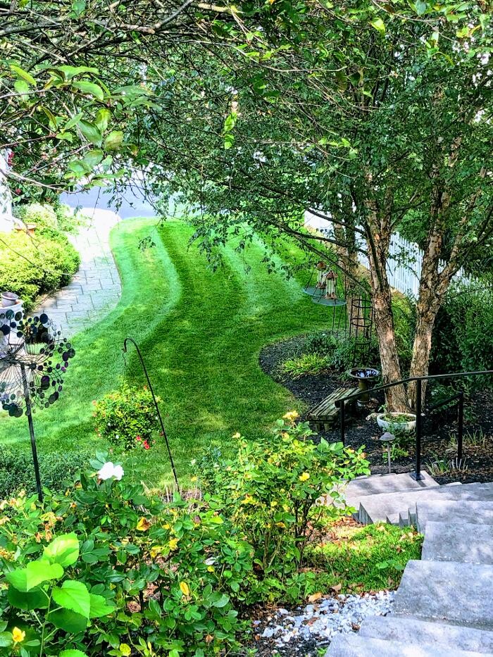 Images Shepherds View Landscaping & Tree Removal, LLC