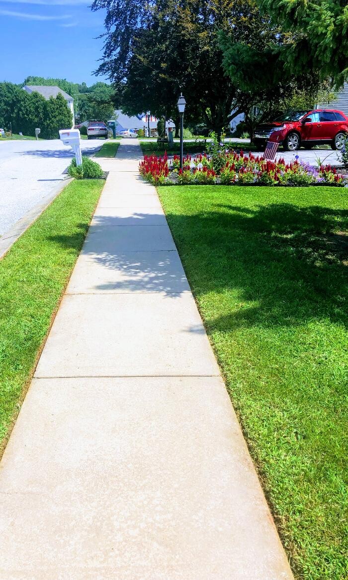Images Shepherds View Landscaping & Tree Removal, LLC