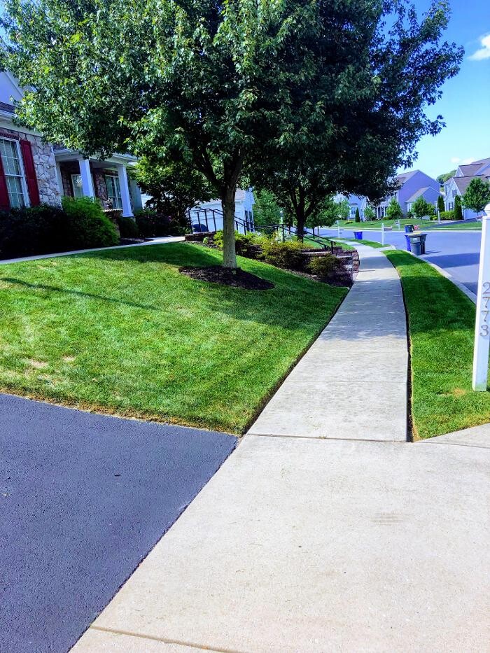 Images Shepherds View Landscaping & Tree Removal, LLC