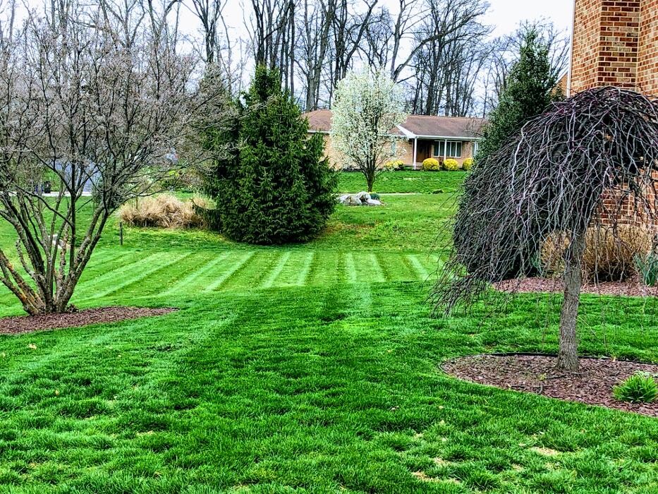 Images Shepherds View Landscaping & Tree Removal, LLC