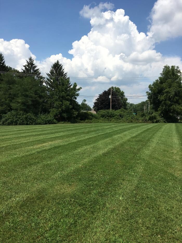 Images Shepherds View Landscaping & Tree Removal, LLC