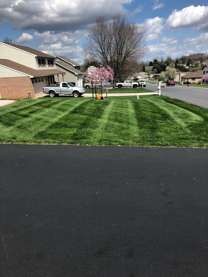 Images Shepherds View Landscaping & Tree Removal, LLC