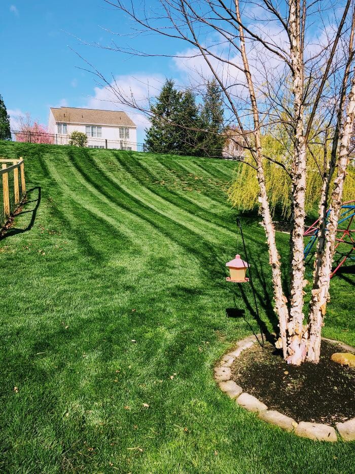 Images Shepherds View Landscaping & Tree Removal, LLC