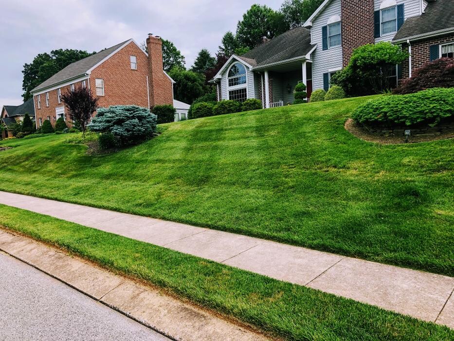 Images Shepherds View Landscaping & Tree Removal, LLC
