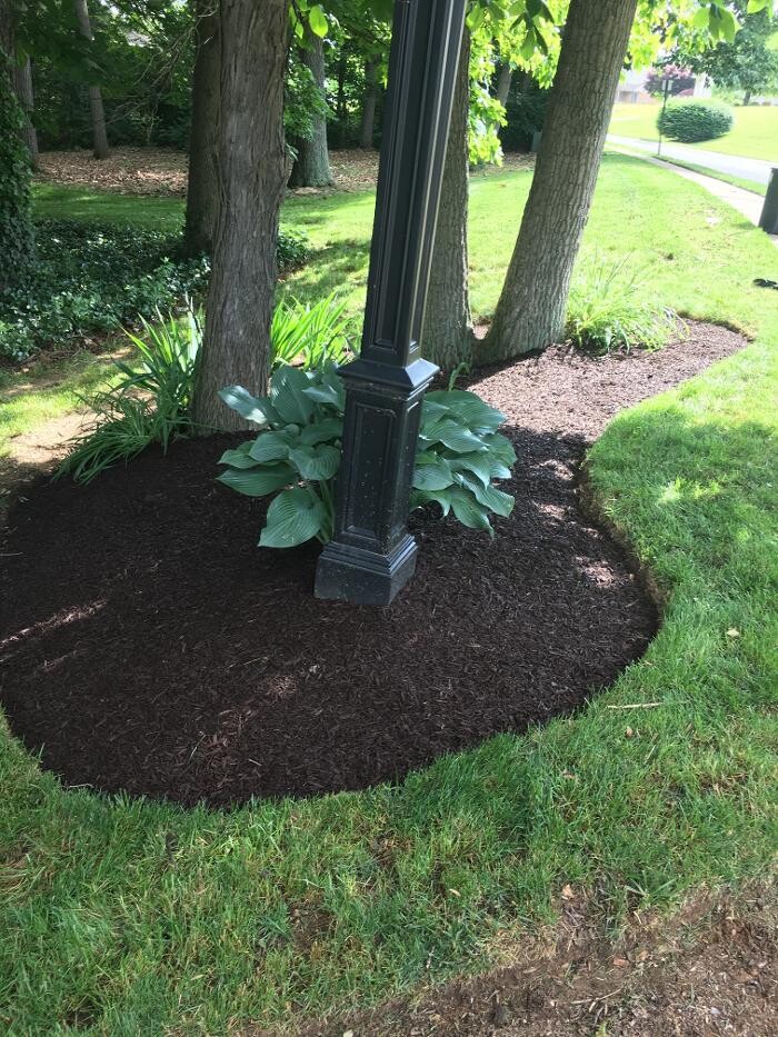 Images Shepherds View Landscaping & Tree Removal, LLC