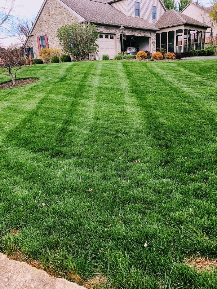 Images Shepherds View Landscaping & Tree Removal, LLC