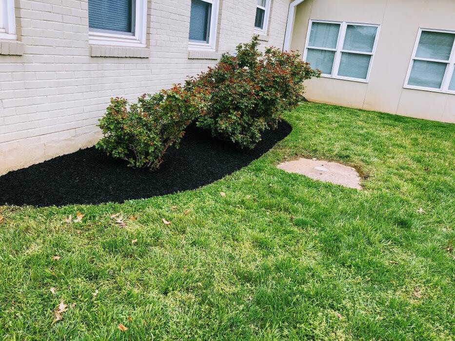 Images Shepherds View Landscaping & Tree Removal, LLC