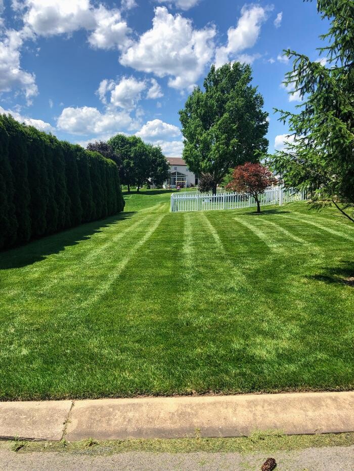 Images Shepherds View Landscaping & Tree Removal, LLC
