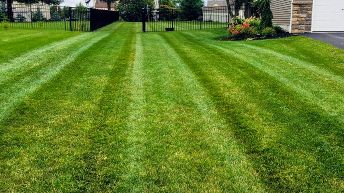 Images Shepherds View Landscaping & Tree Removal, LLC