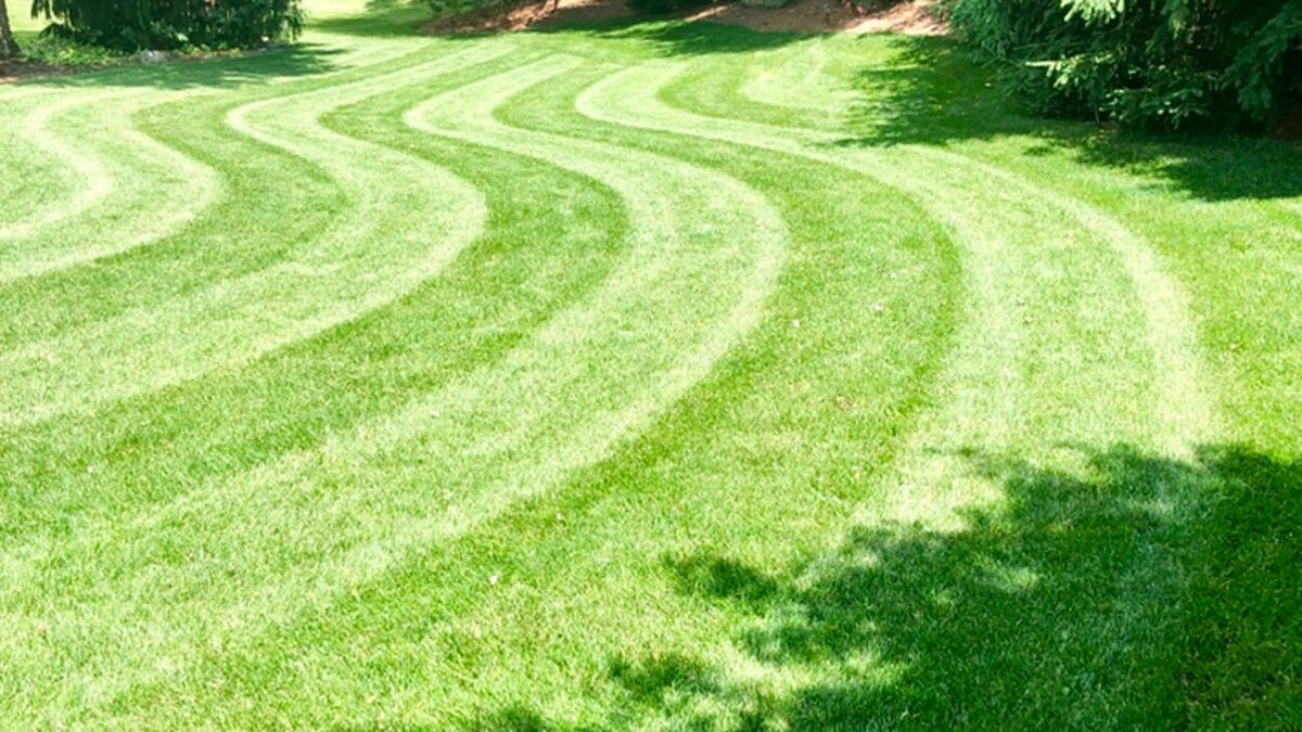 Images Shepherds View Landscaping & Tree Removal, LLC