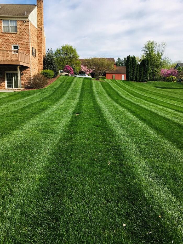 Images Shepherds View Landscaping & Tree Removal, LLC