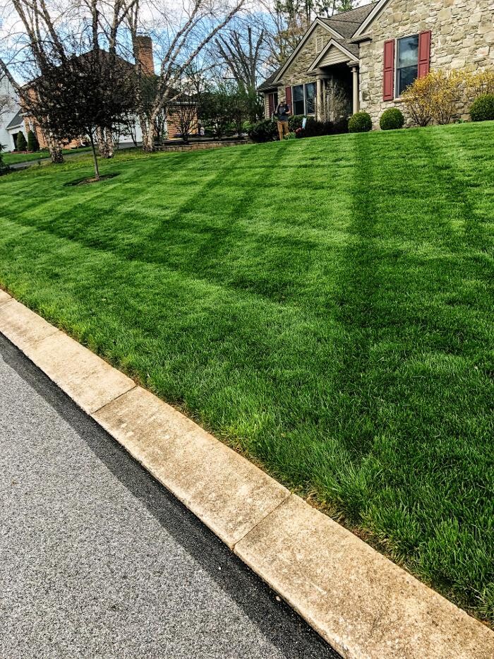 Images Shepherds View Landscaping & Tree Removal, LLC