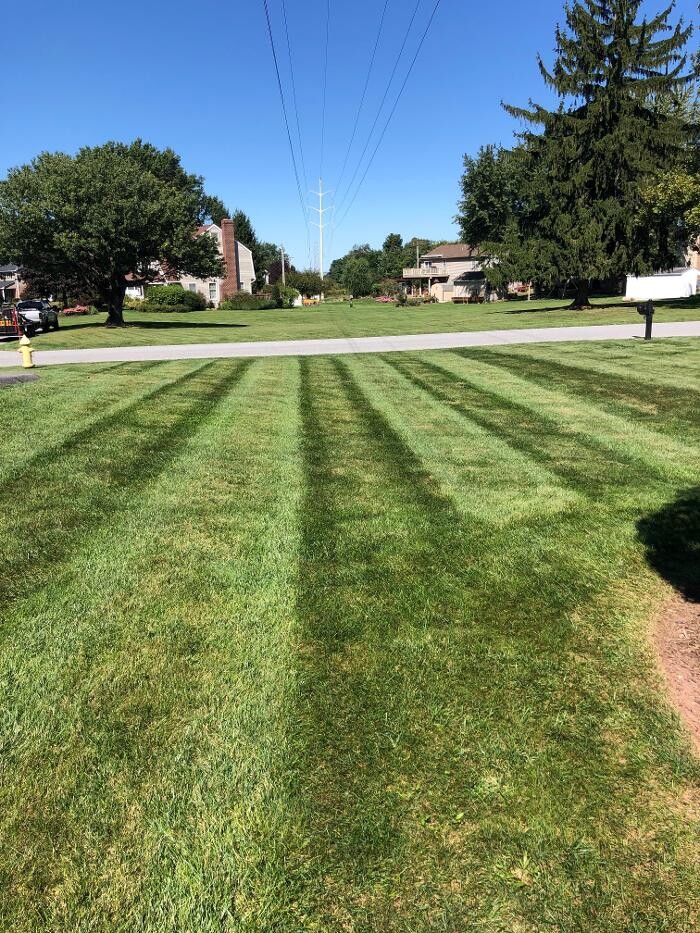 Images Shepherds View Landscaping & Tree Removal, LLC