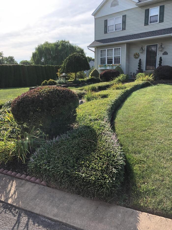 Images Shepherds View Landscaping & Tree Removal, LLC