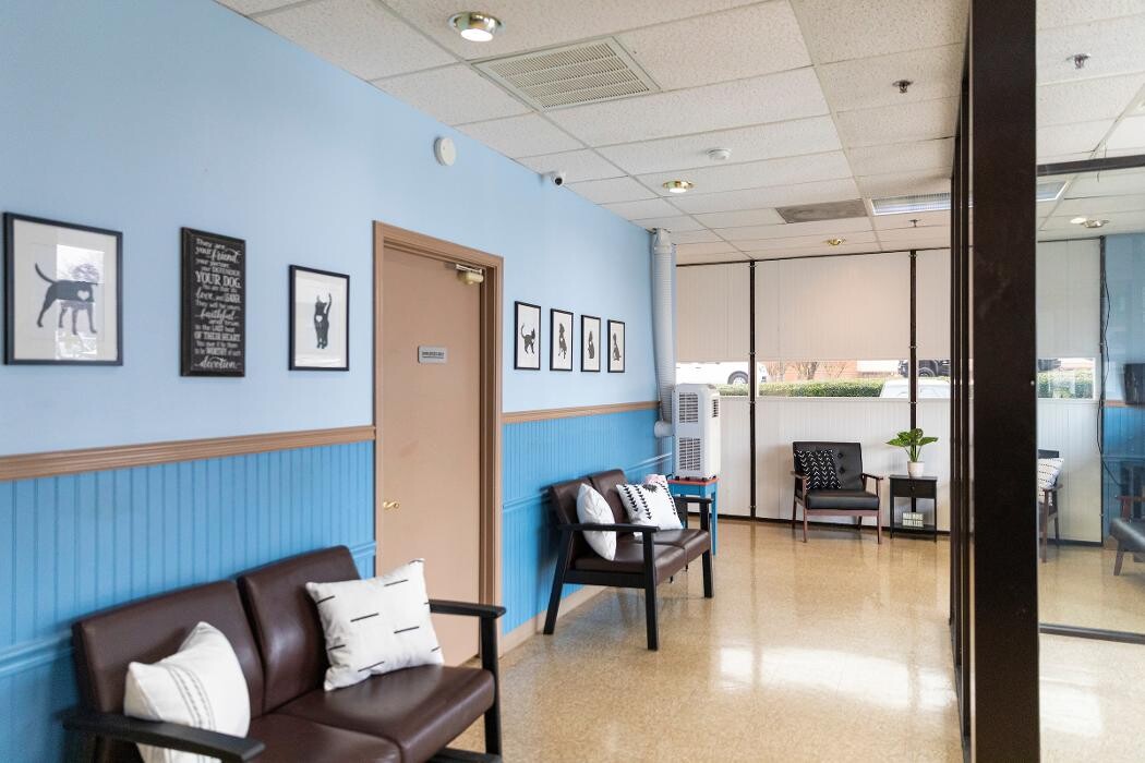 Images East Metro Animal Emergency Clinic