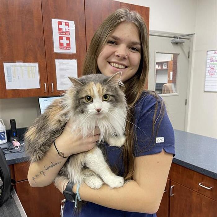 Images Bridgeview Pet Wellness Clinic