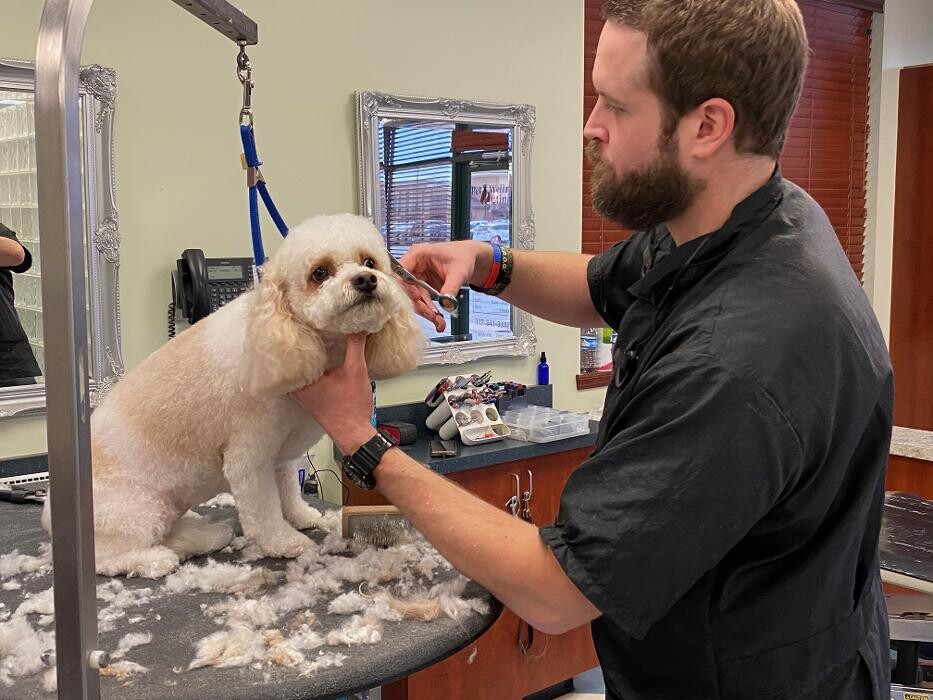 Images Bridgeview Pet Wellness Clinic