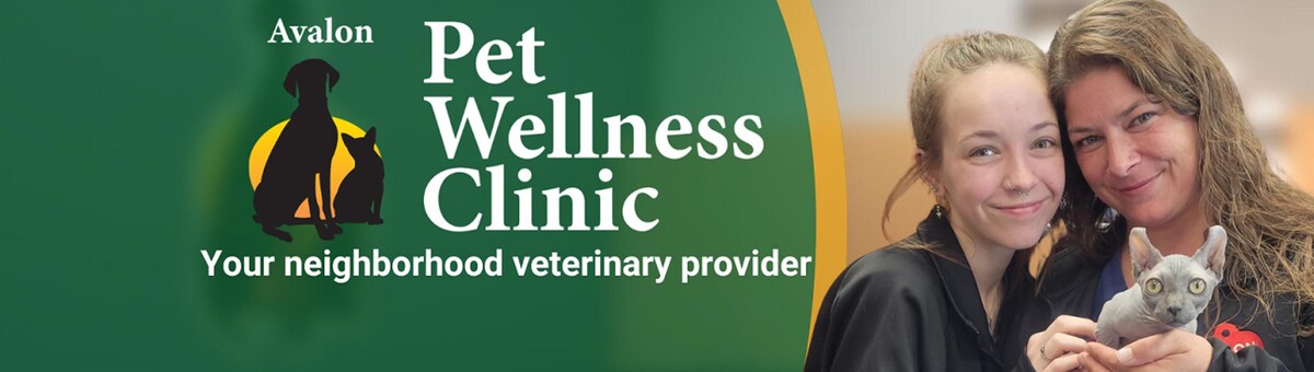 Images Avalon Pet Wellness Clinic