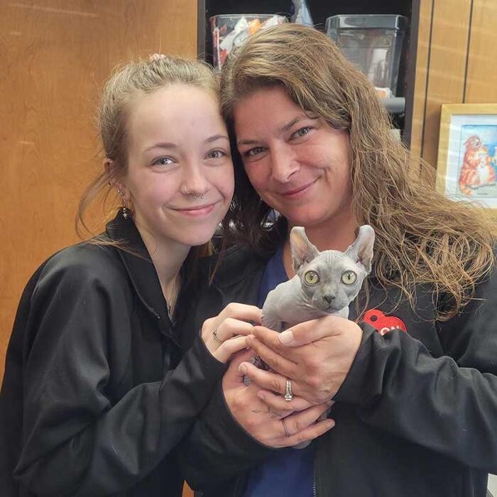 Images Avalon Pet Wellness Clinic