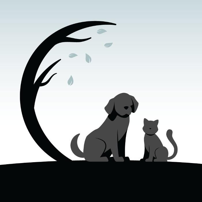 Coventry Veterinary Clinic Logo