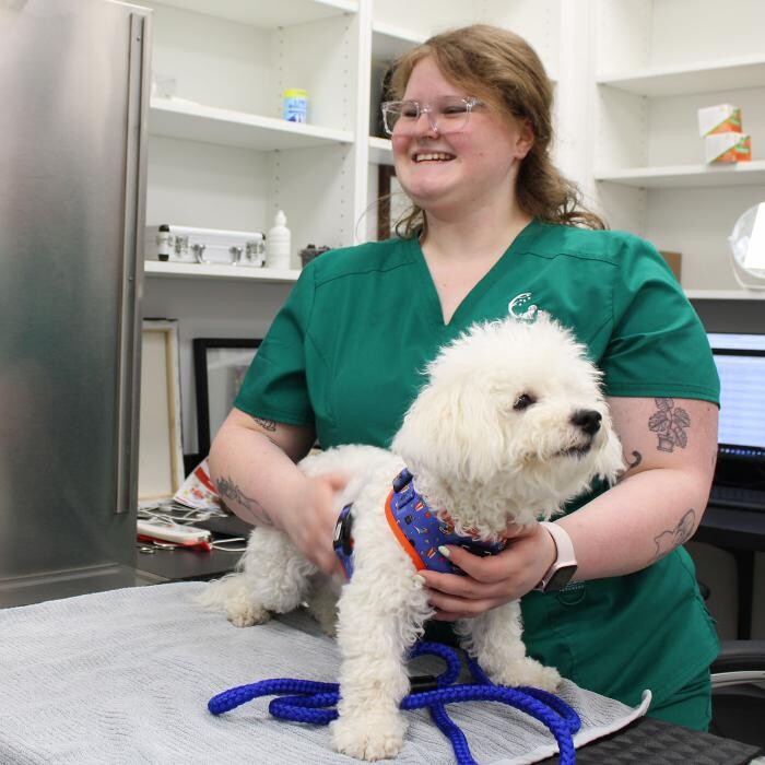 Images Coventry Veterinary Clinic