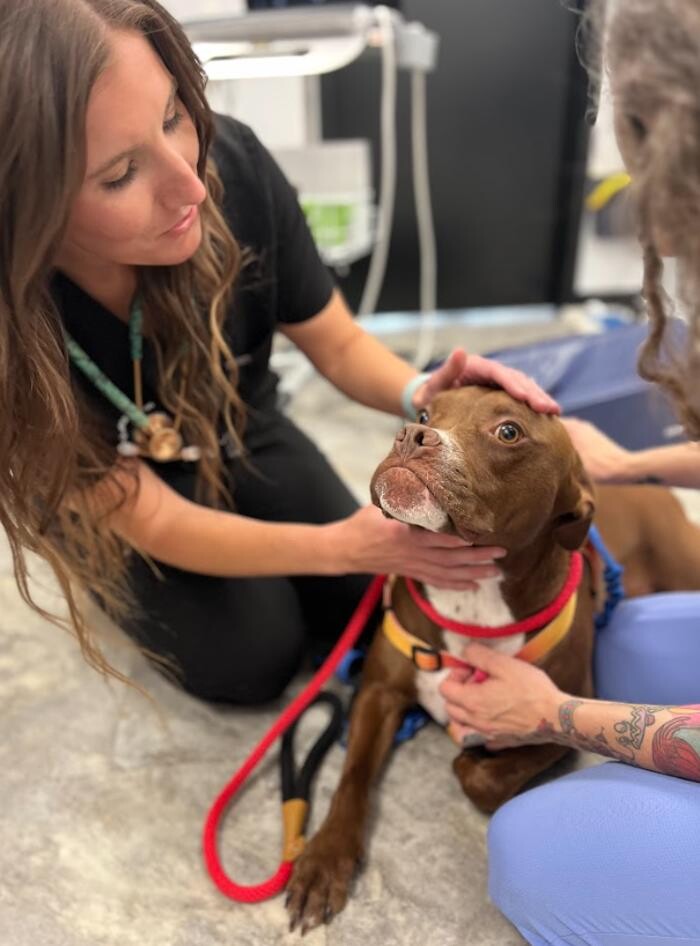 Images Coventry Veterinary Clinic