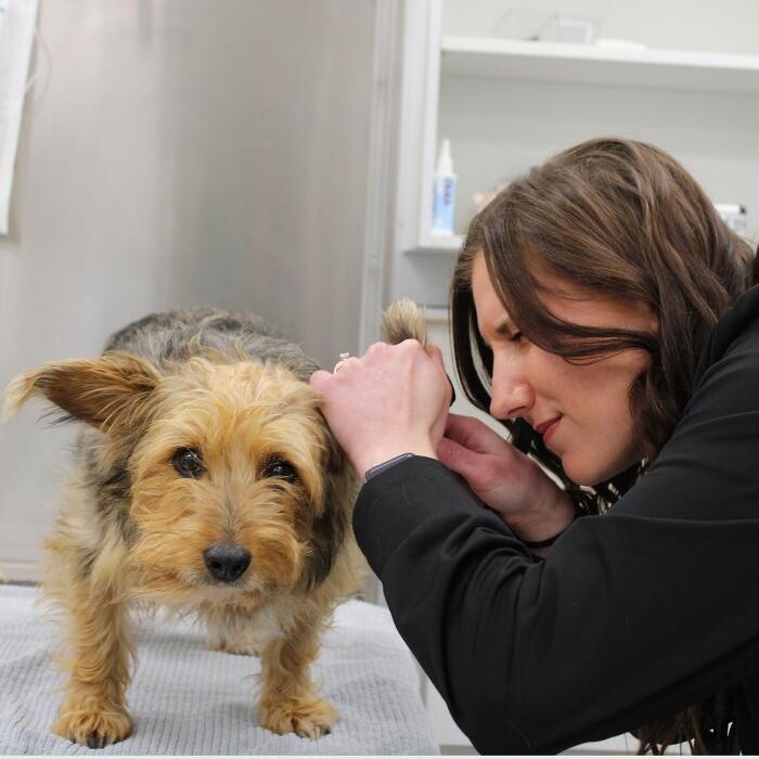 Images Coventry Veterinary Clinic