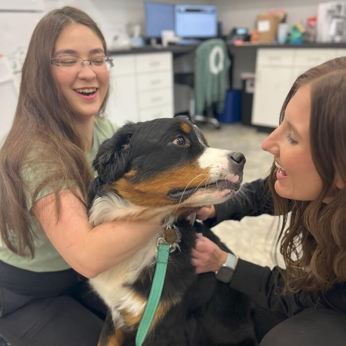 Images Coventry Veterinary Clinic