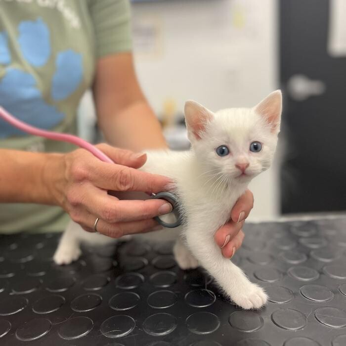Images Coventry Veterinary Clinic