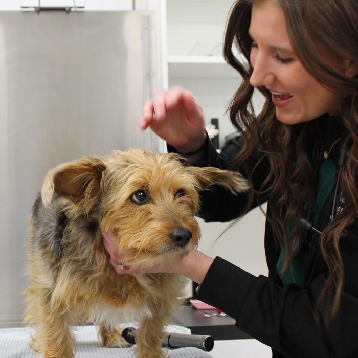 Images Coventry Veterinary Clinic