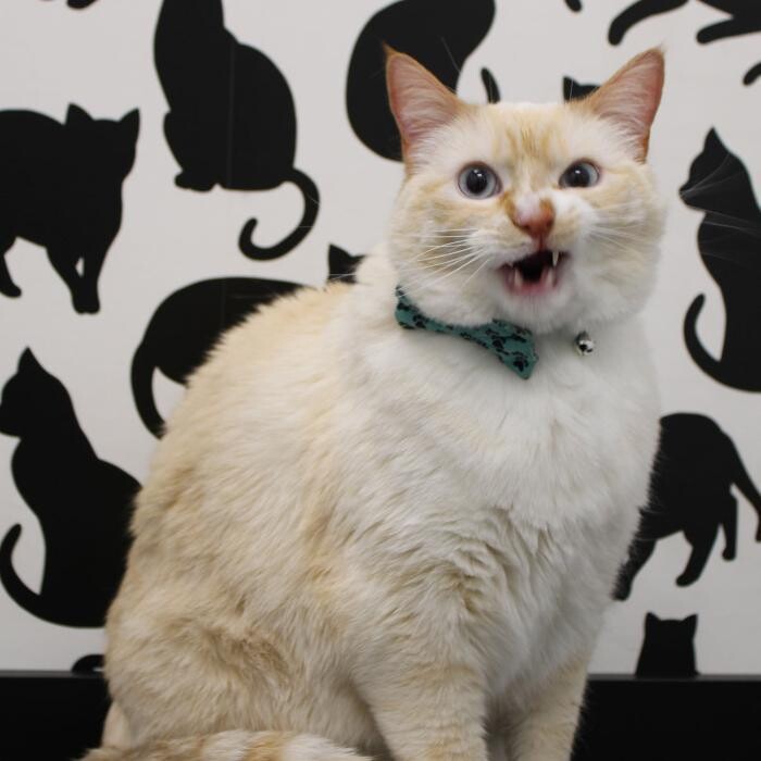 Images Coventry Veterinary Clinic