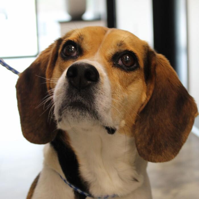 Images Coventry Veterinary Clinic
