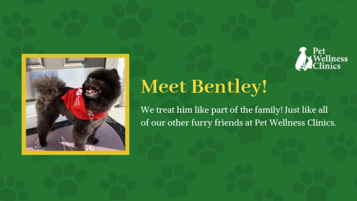 Images College Park Pet Wellness Clinic