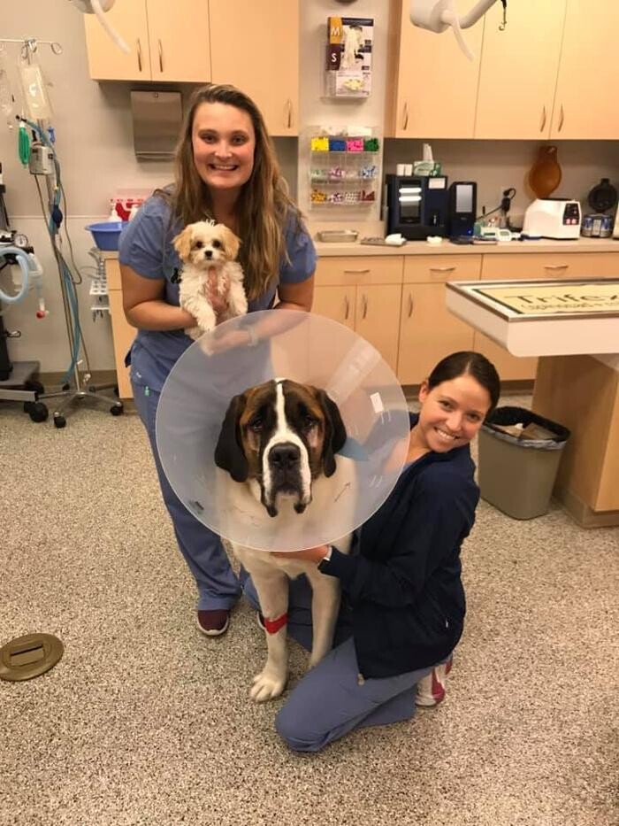 Images College Park Pet Wellness Clinic