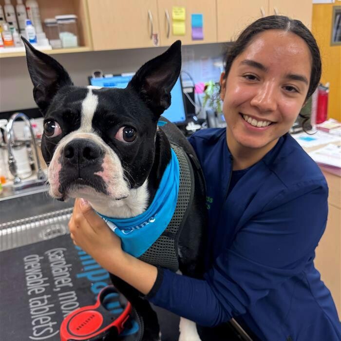 Images College Park Pet Wellness Clinic